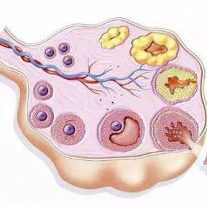 苏州试管婴儿医院有哪些！是否可报销！