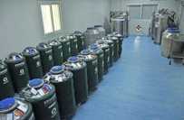 苏州私立医院做三代试管一般多少钱